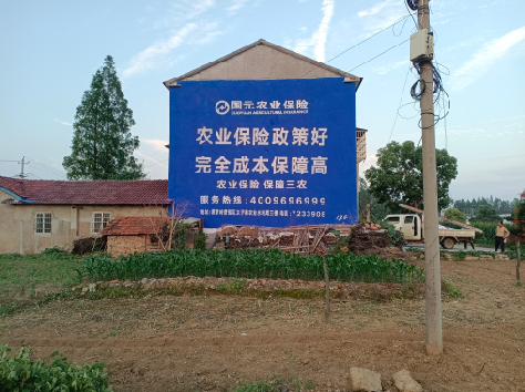 简阳墙体广告的优劣势你知道吗?