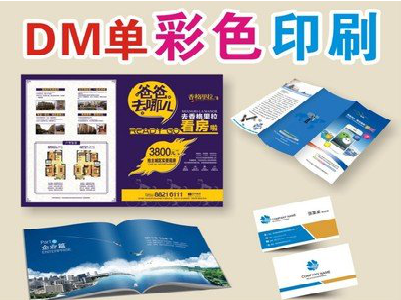 简阳单页印刷，色彩搭配简单。